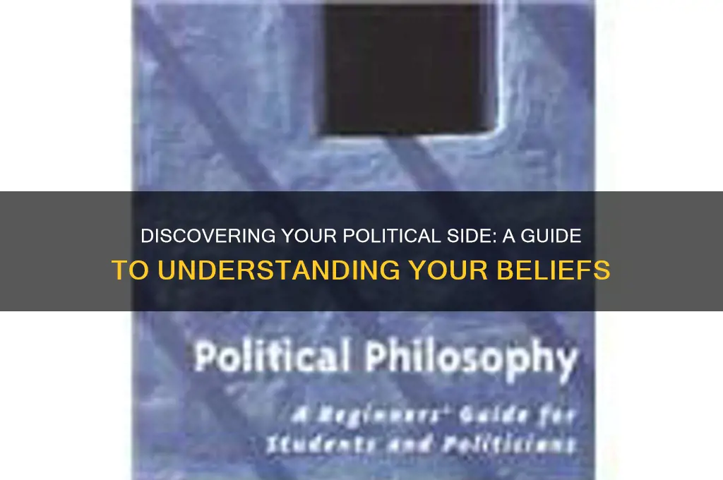 what is my political side