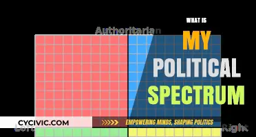 Understanding Your Political Spectrum: A Guide to Self-Identification