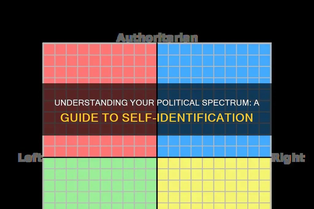 what is my political spectrum