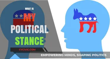 Exploring My Political Beliefs: Understanding My Core Values and Stance