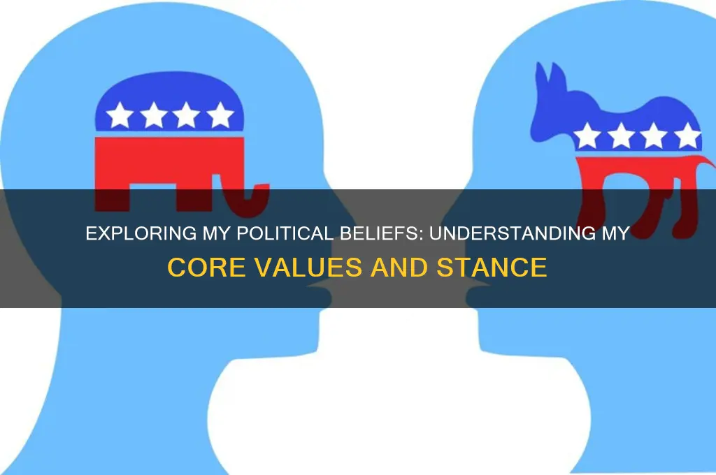 what is my political stance