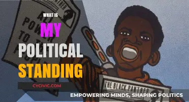 Understanding Your Political Standing: A Guide to Self-Discovery