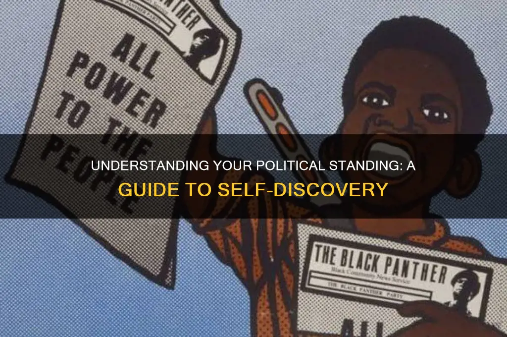 what is my political standing