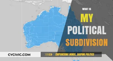 Understanding Your Political Subdivision: A Guide to Local Governance