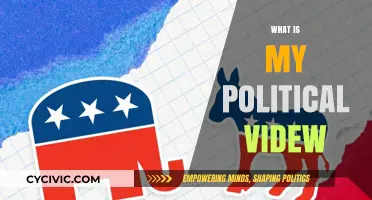 Exploring My Political View: Beliefs, Values, and Ideological Identity