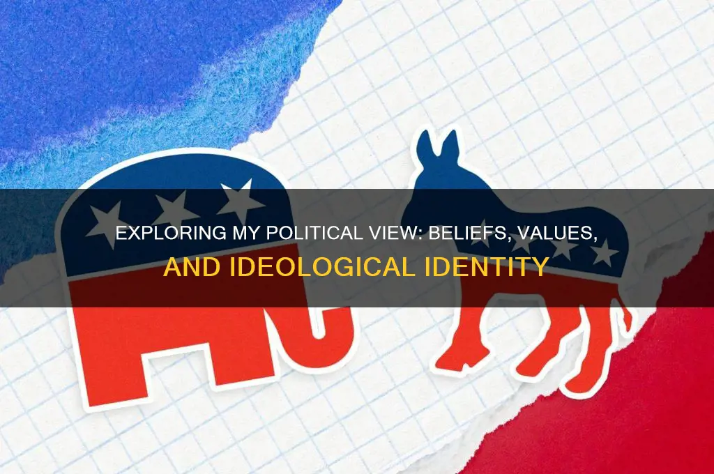 what is my political videw