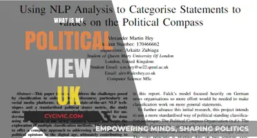 Exploring My Political Compass in the UK: A Personal Journey