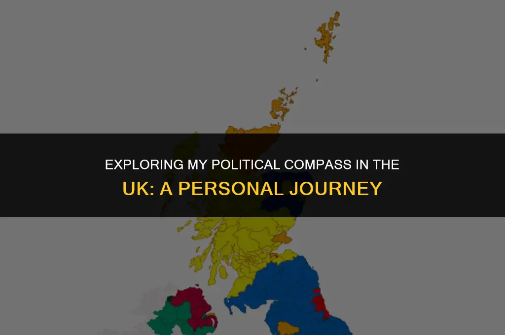 what is my political view uk