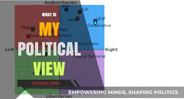 Exploring My Political Compass: A Personal Journey