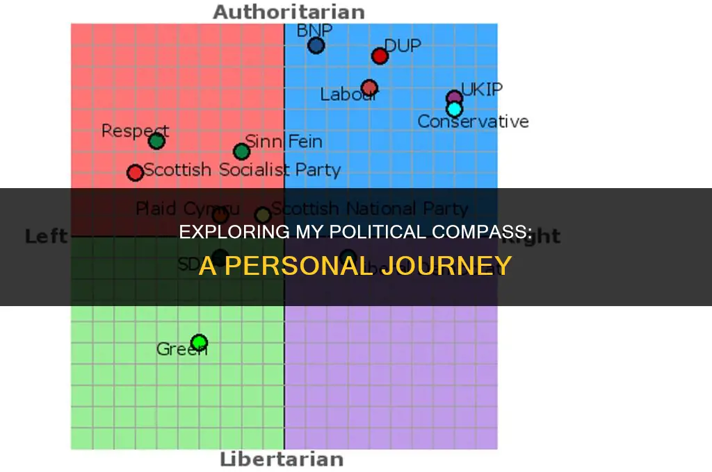 what is my political view