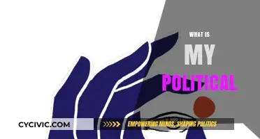 Exploring Your Political Identity: Understanding Beliefs, Values, and Alignment