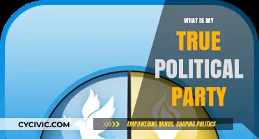 Discovering Your True Political Party: A Personal Ideology Journey