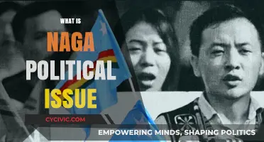 Understanding the Naga Political Issue: History, Demands, and Peace Efforts