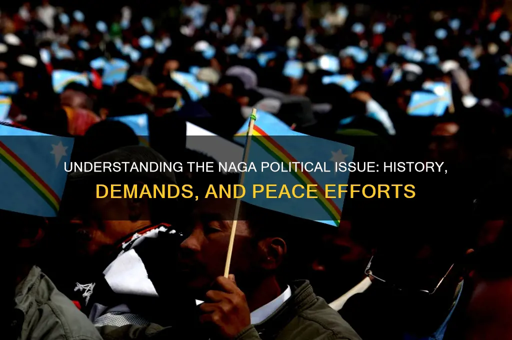 what is naga political issue
