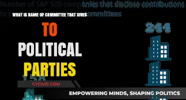 Understanding the Committee Responsible for Allocating Funds to Political Parties