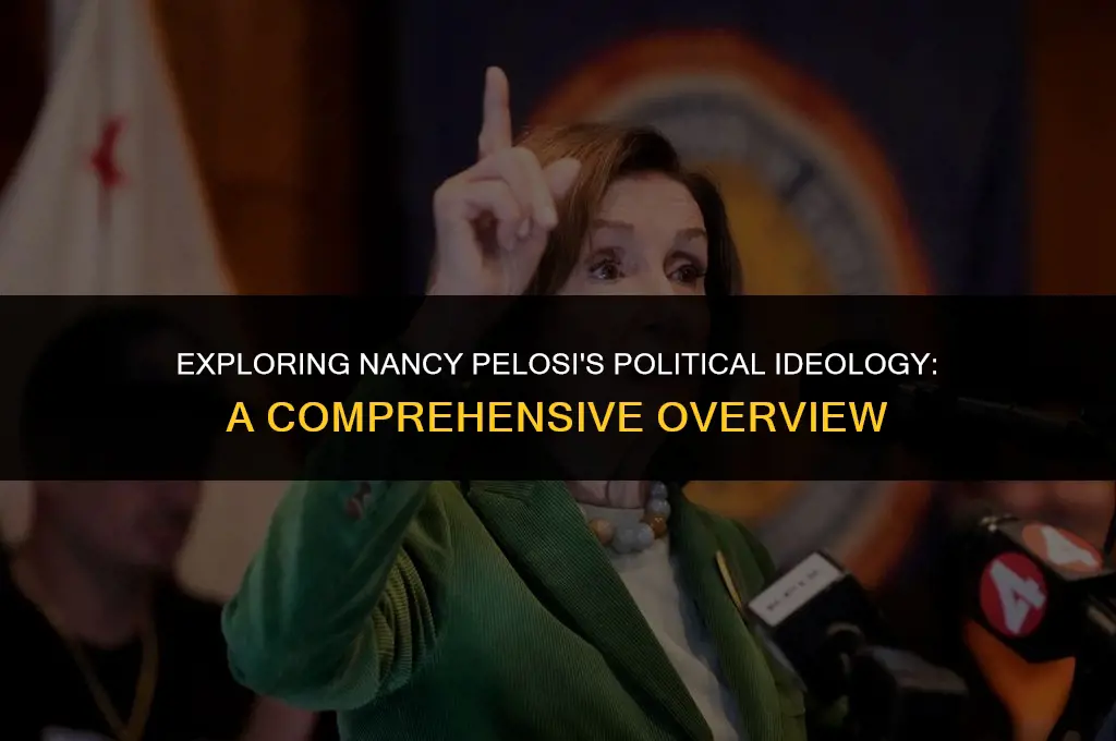 what is nancy pelosi political views