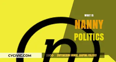 Understanding Nanny Politics: Control, Paternalism, and Personal Freedom Explained