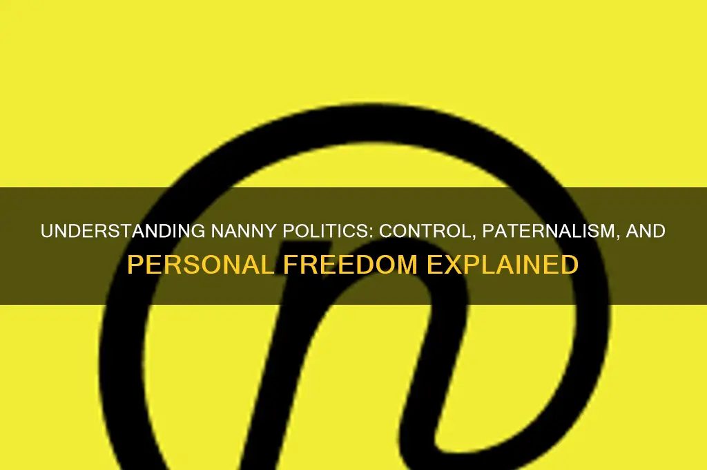 what is nanny politics