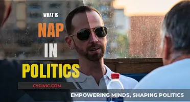 Understanding NAP: Non-Aggression Principle's Role in Political Philosophy