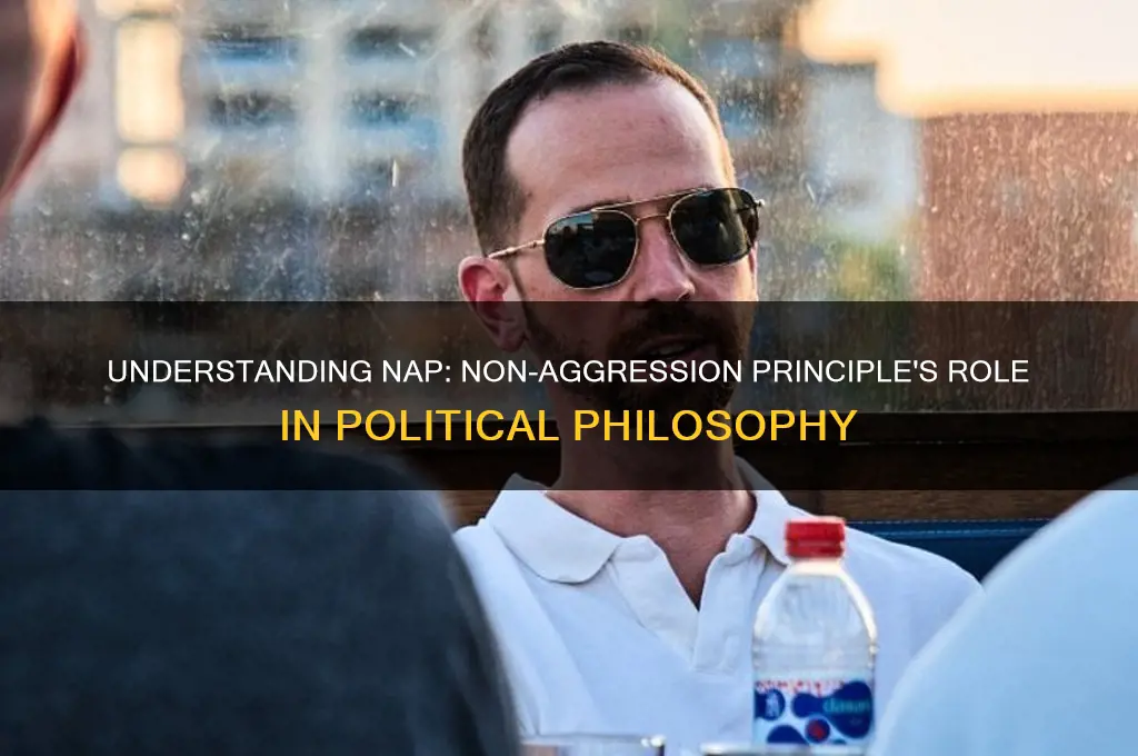 what is nap in politics