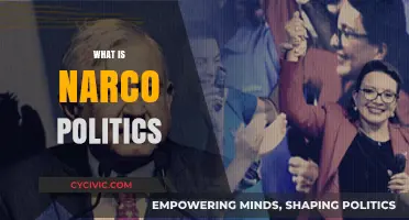 Understanding Narco Politics: Drug Cartels' Influence on Global Governance