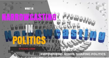 Narrowcasting in Politics: Targeted Messaging and Its Impact on Campaigns