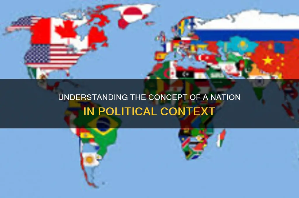 what is nation in politics