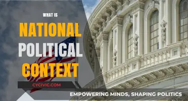 Understanding National Political Context: Key Factors Shaping Governance and Policies