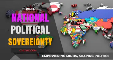 Understanding National Political Sovereignty: Power, Authority, and State Autonomy Explained