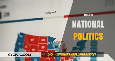 Understanding National Politics: Power, Policies, and Public Influence Explained