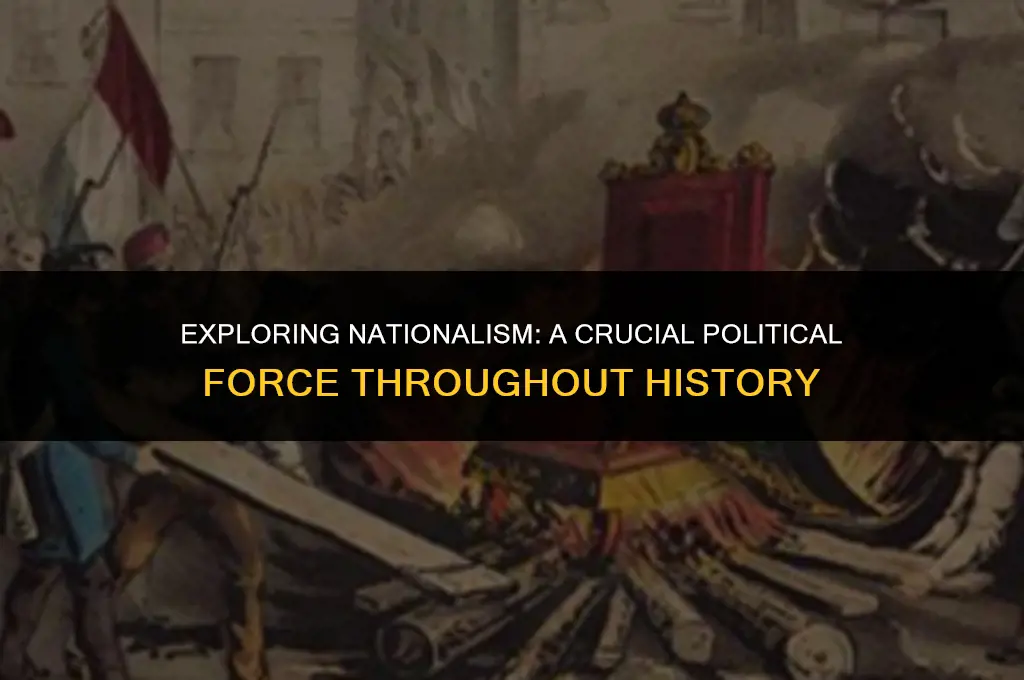 what is nationalism where was it an important political factor