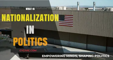 Understanding Nationalization: Political Control of Industries and Its Implications