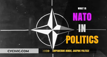Understanding NATO: Its Role, Structure, and Global Political Influence