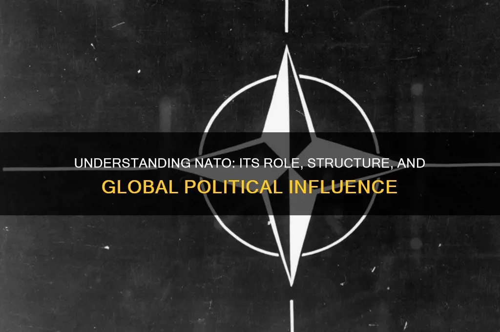 what is nato in politics
