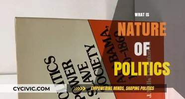 Understanding the Complex Nature of Politics: Power, Ideologies, and Society