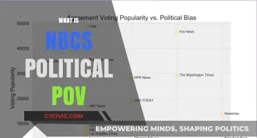 Understanding NBC's Political Perspective: Bias, Coverage, and Influence