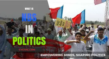 Understanding NBS: Its Role and Impact in Modern Political Strategies