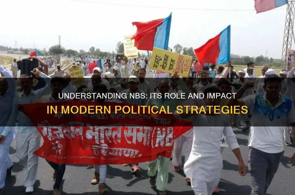 what is nbs in politics