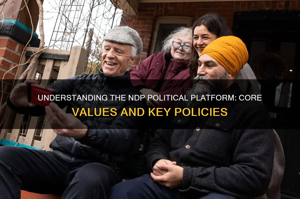 what is ndp political platform