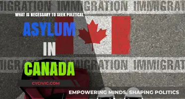 Navigating the Path to Political Asylum in Canada: Essential Steps