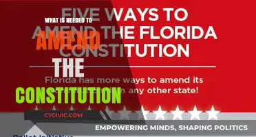 Amending the Constitution: What's Required?