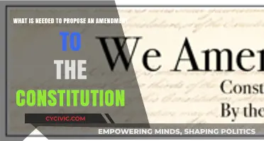 Amending the Constitution: Steps to Propose Changes