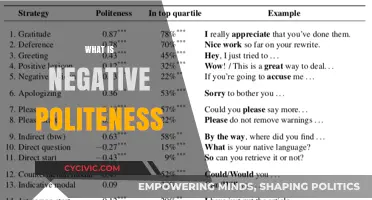 Understanding Negative Politeness: Strategies for Respectful Communication