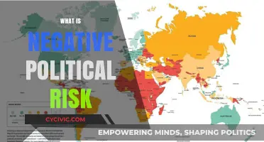 Understanding Negative Political Risk: Threats to Stability and Investment