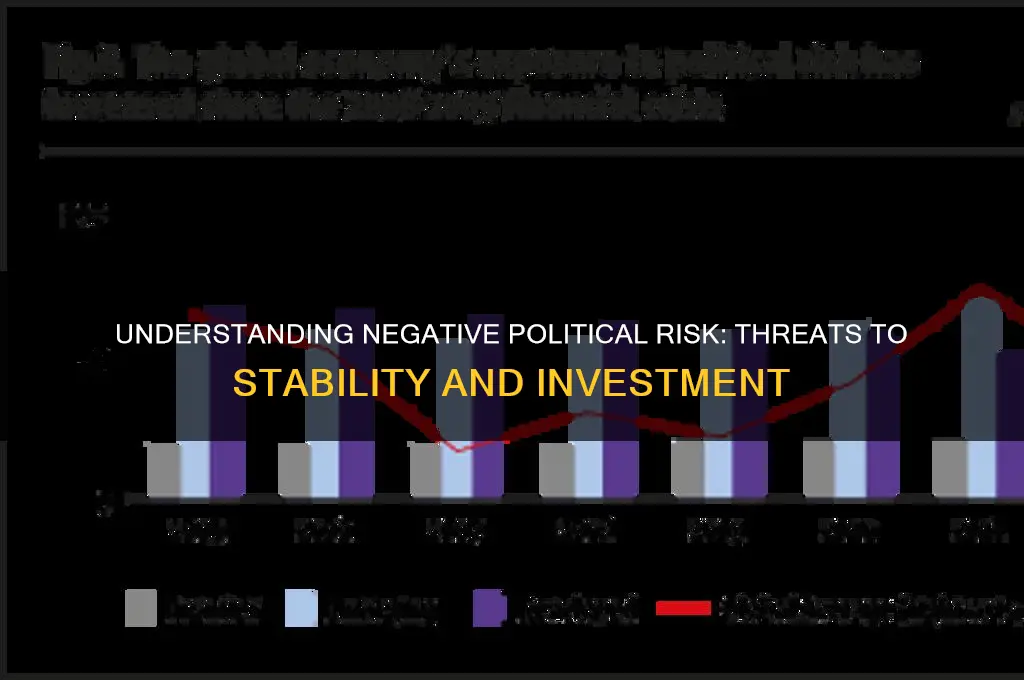 what is negative political risk