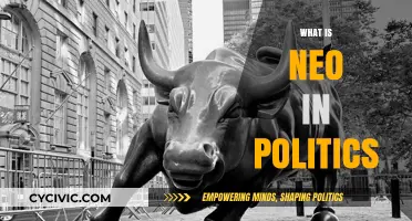 Understanding Neo-Politics: New Ideologies Shaping Modern Governance and Society