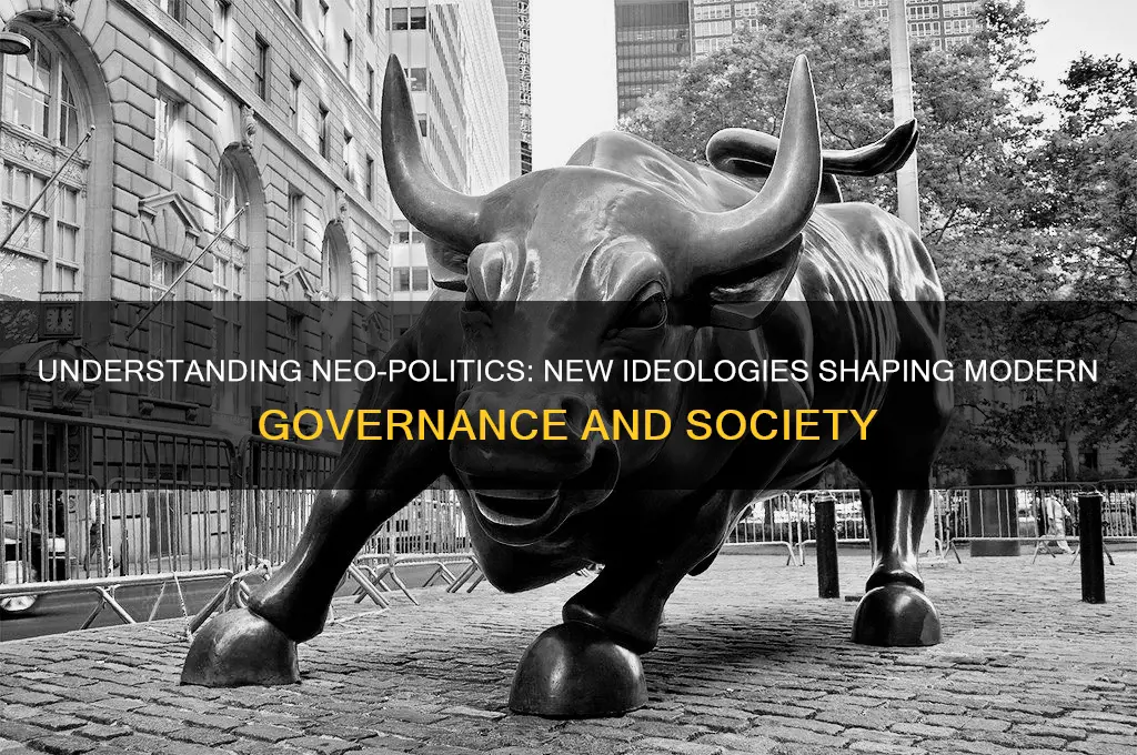 what is neo in politics