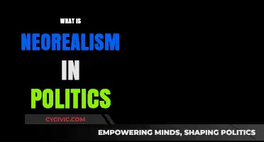 Understanding Neorealism: A Political Theory of Power and Anarchy