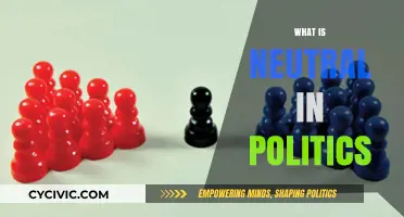 Understanding Neutrality: A Balanced Perspective in Political Discourse