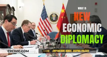 The Art of Economic Diplomacy: A New Era